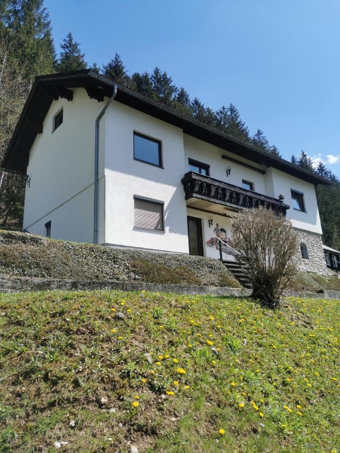 Ferienwohnung Im Nationalpark Gesause Hieflau Exterior photo